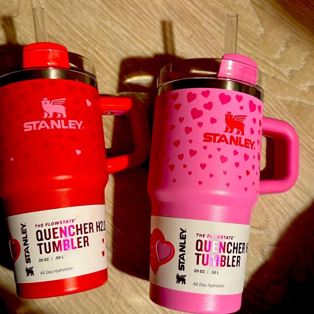NEW in box! Target x Stanley Valentine 20oz cups
